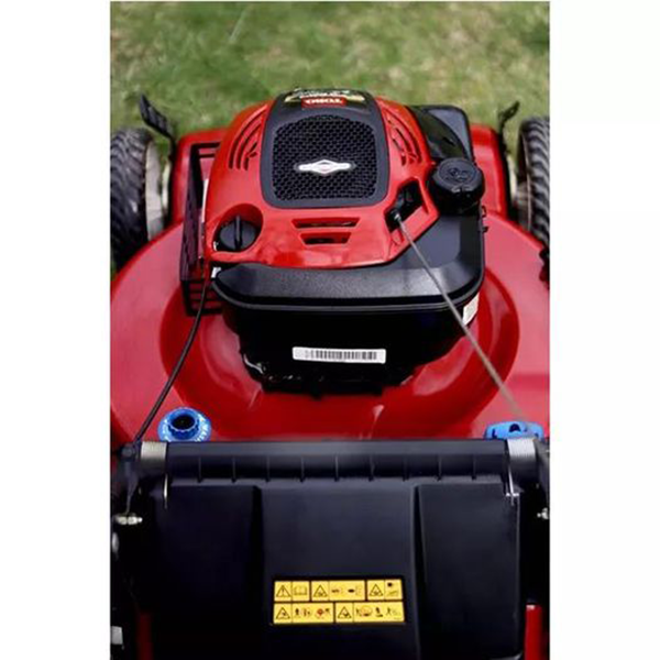 SELF PROPELLED GAS LAWN MOWER Costco