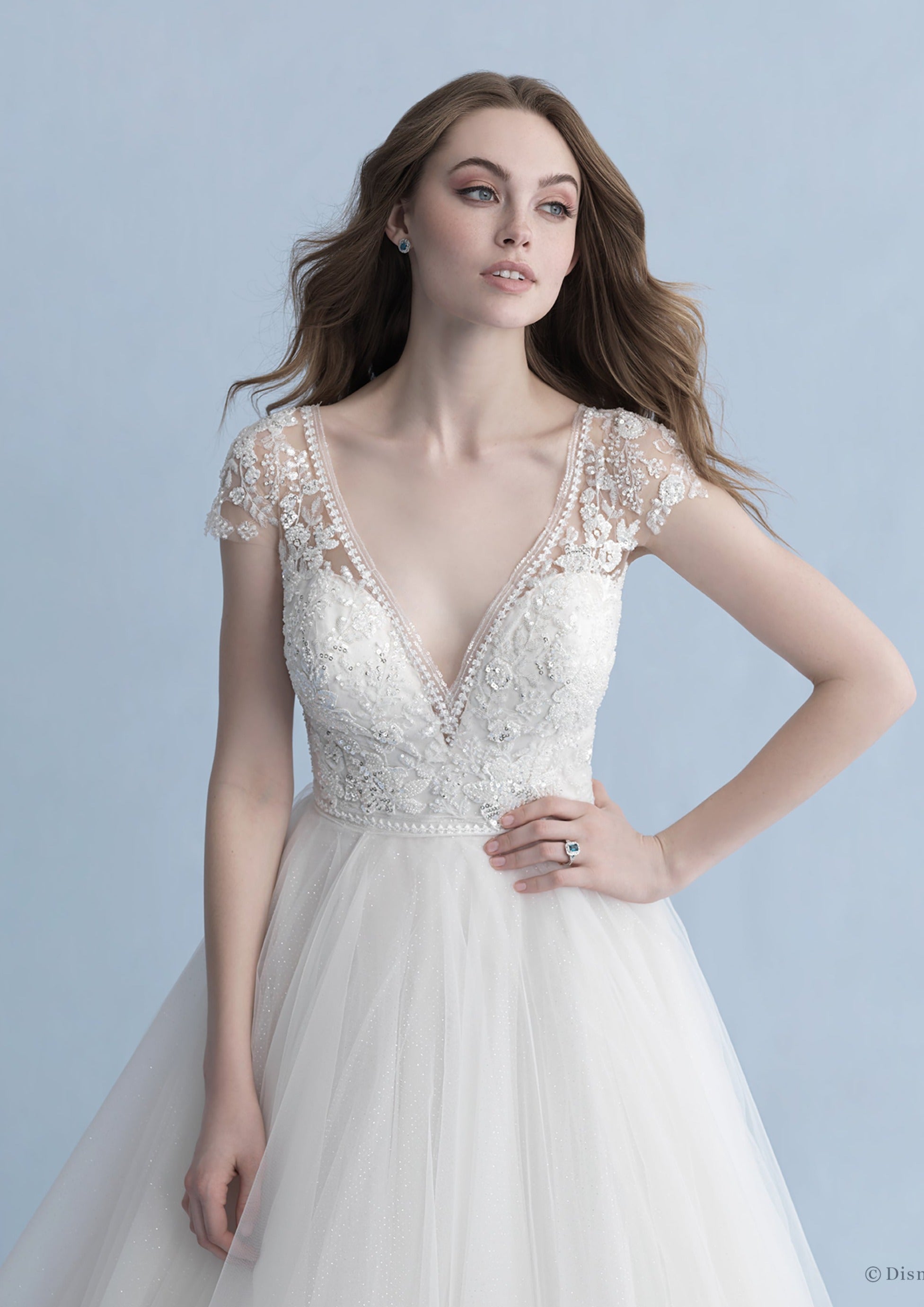 Disney Fairy Tale Weddings Cinderella D263 Wedding Dress