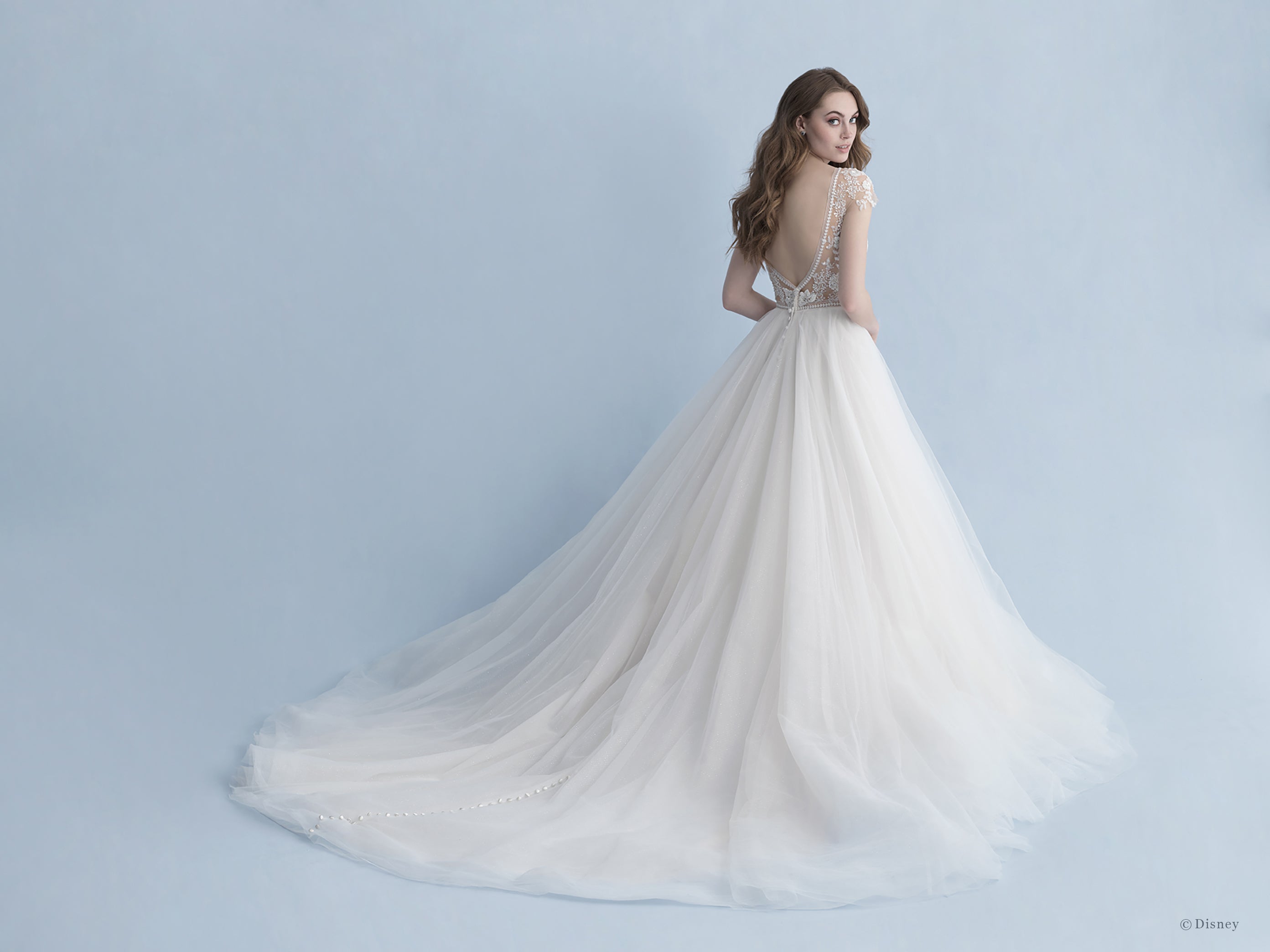 Disney Fairy Tale Weddings Cinderella D263 Wedding Dress