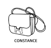 crocodile  Constance