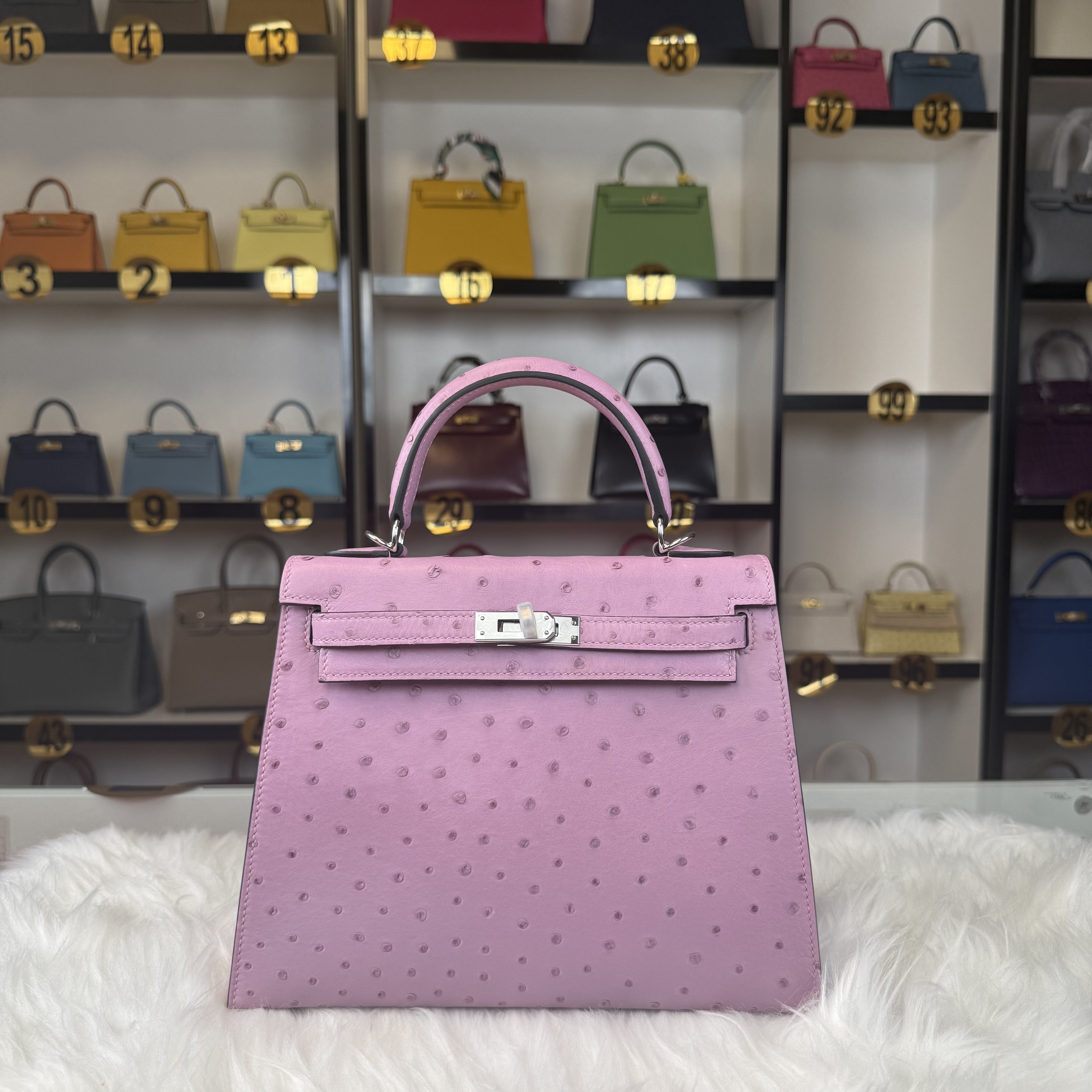 Ostrich  Kelly 25cm-28cm