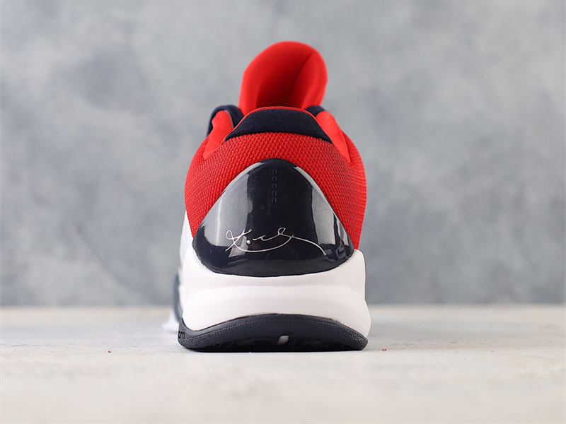 Nike Zoom Kobe V Protro 386430-103