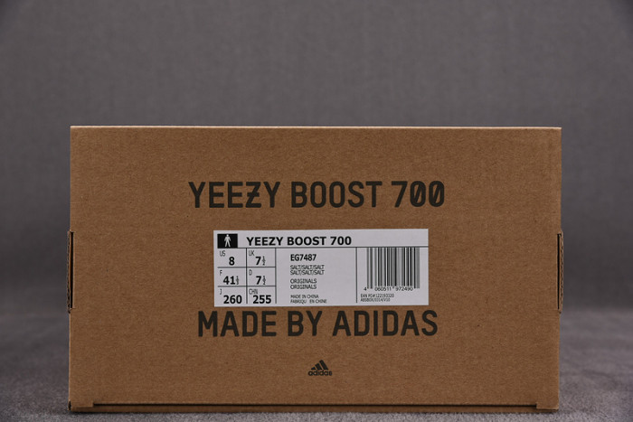 adidas Yeezy Boost 700 Salt EG7487