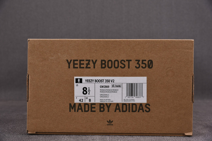 Adidas Yeezy Boost 350 V2 Mono Ice GW2869