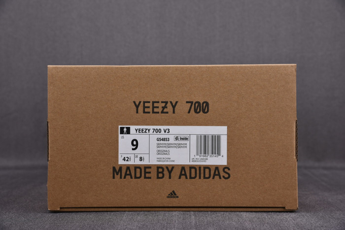 adidas Yeezy 700 V3 Srphym G54853