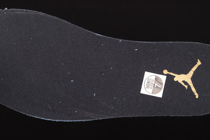 AIR JORDAN 12 ROYALTY CT8013-170