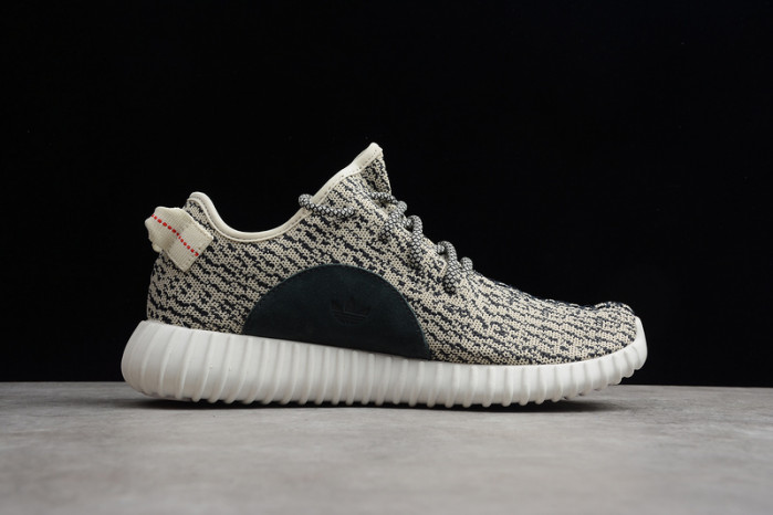adidas Yeezy Boost 350 Turtle Dove AQ4832