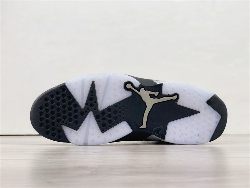 Air Jordan 6 Retro 