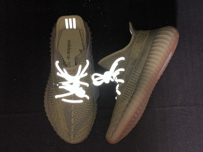 adidas Yeezy Boost 350 V2 Antlia FV3250