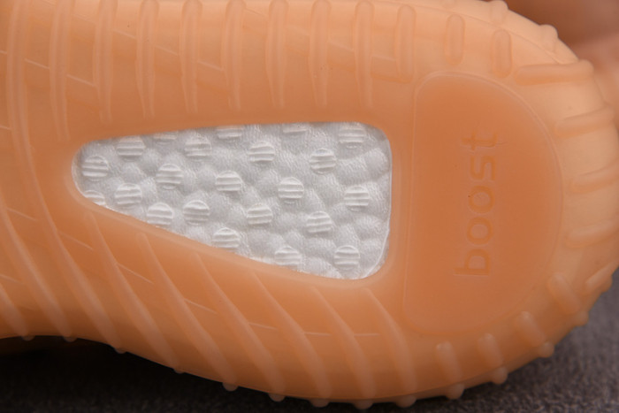 ADIDAS Yeezy Boost 350 V2 Mono Clay GW2870