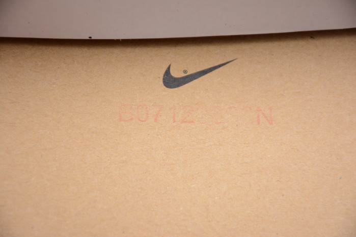 Air Jordan 1 Retro Satin Shattered Backboard AV3725-010