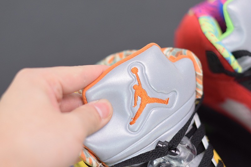 Air Jordan 5 Retro SE What The