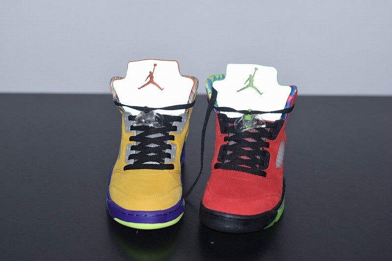 Air Jordan 5 Retro SE What The