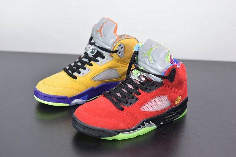 Air Jordan 5 Retro SE What The