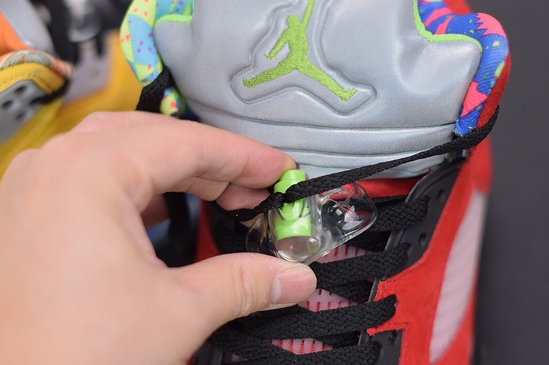 Air Jordan 5 Retro SE What The