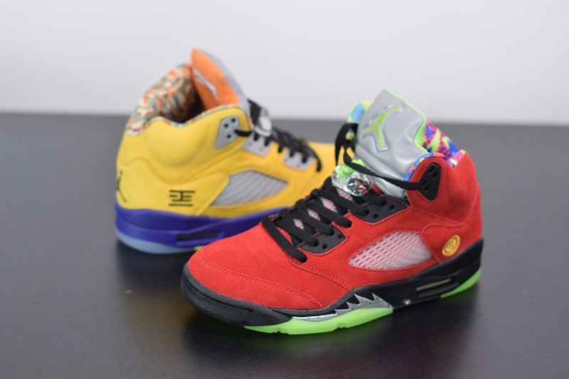 Air Jordan 5 Retro SE What The