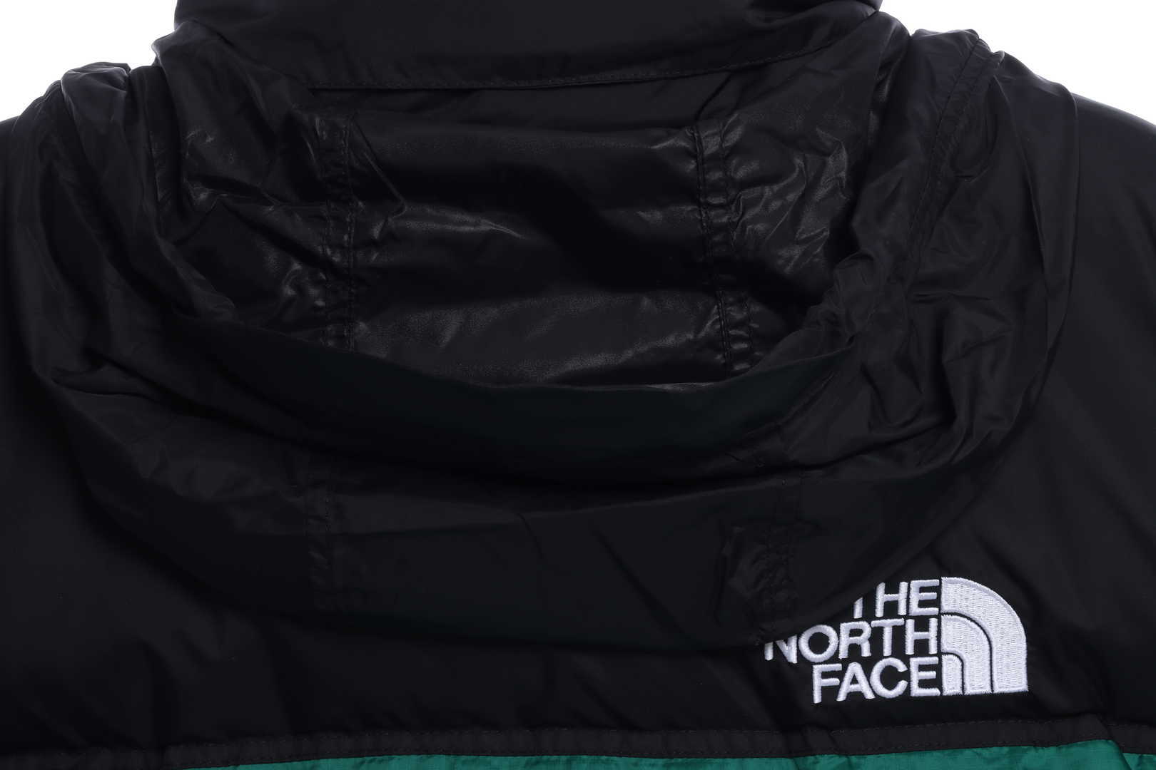 TNF 19fw 1996 Classic Down Jacket