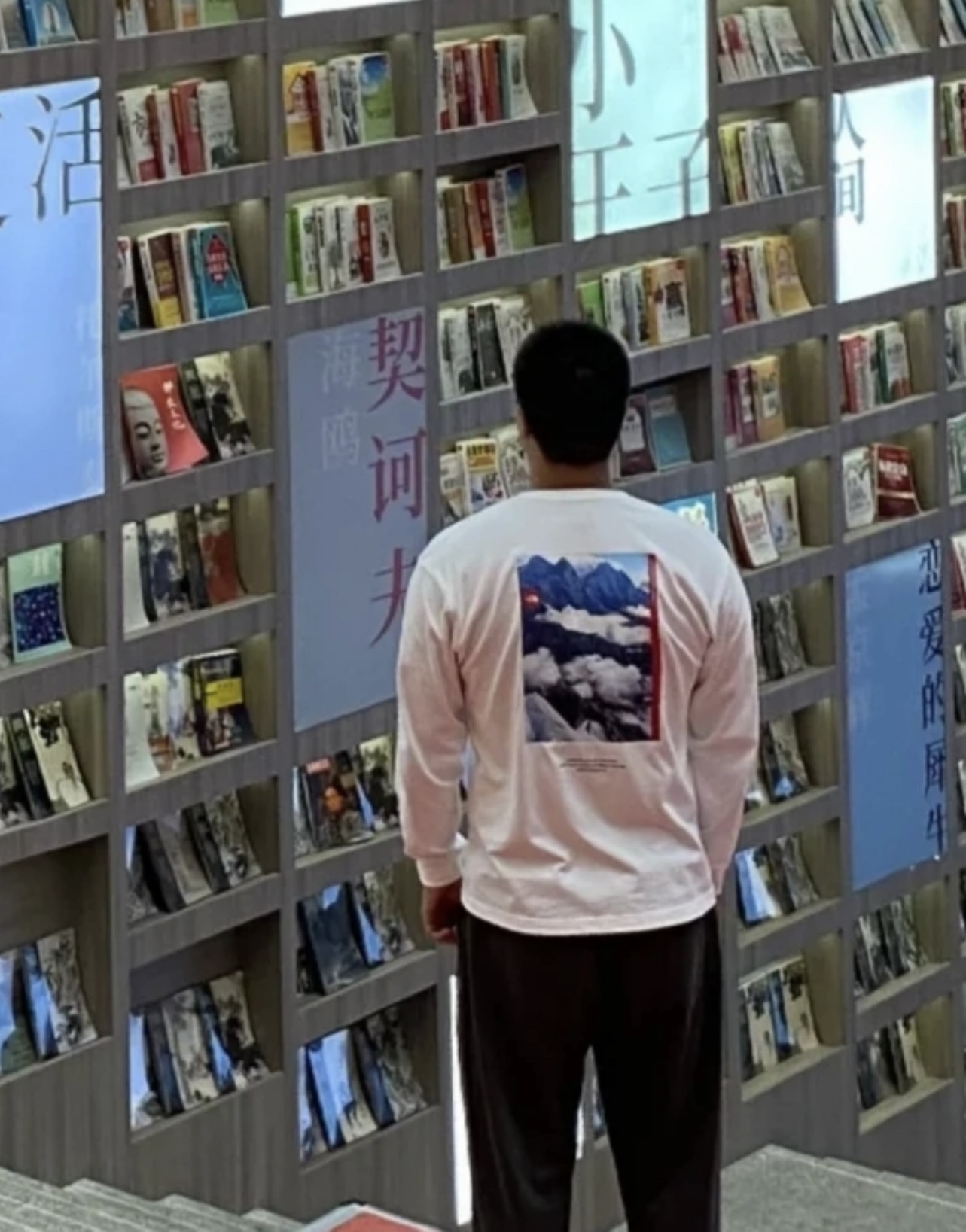 The North Face 30th Anniversary Scenery Print Long Sleeve T