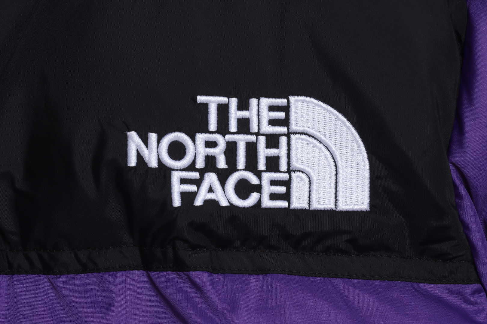 TNF 19fw 1996 Classic Down Jacket