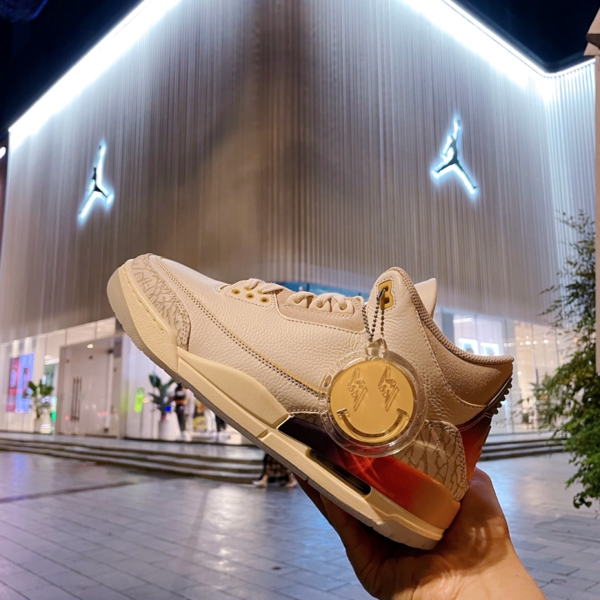 Air Jordan 3