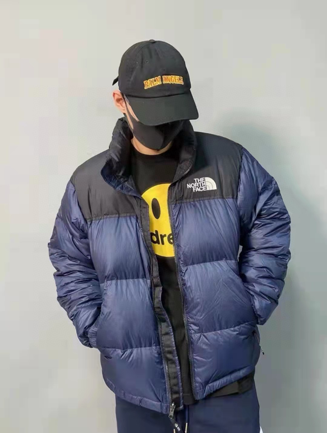 TNF 19fw 1996 Classic Down Jacket