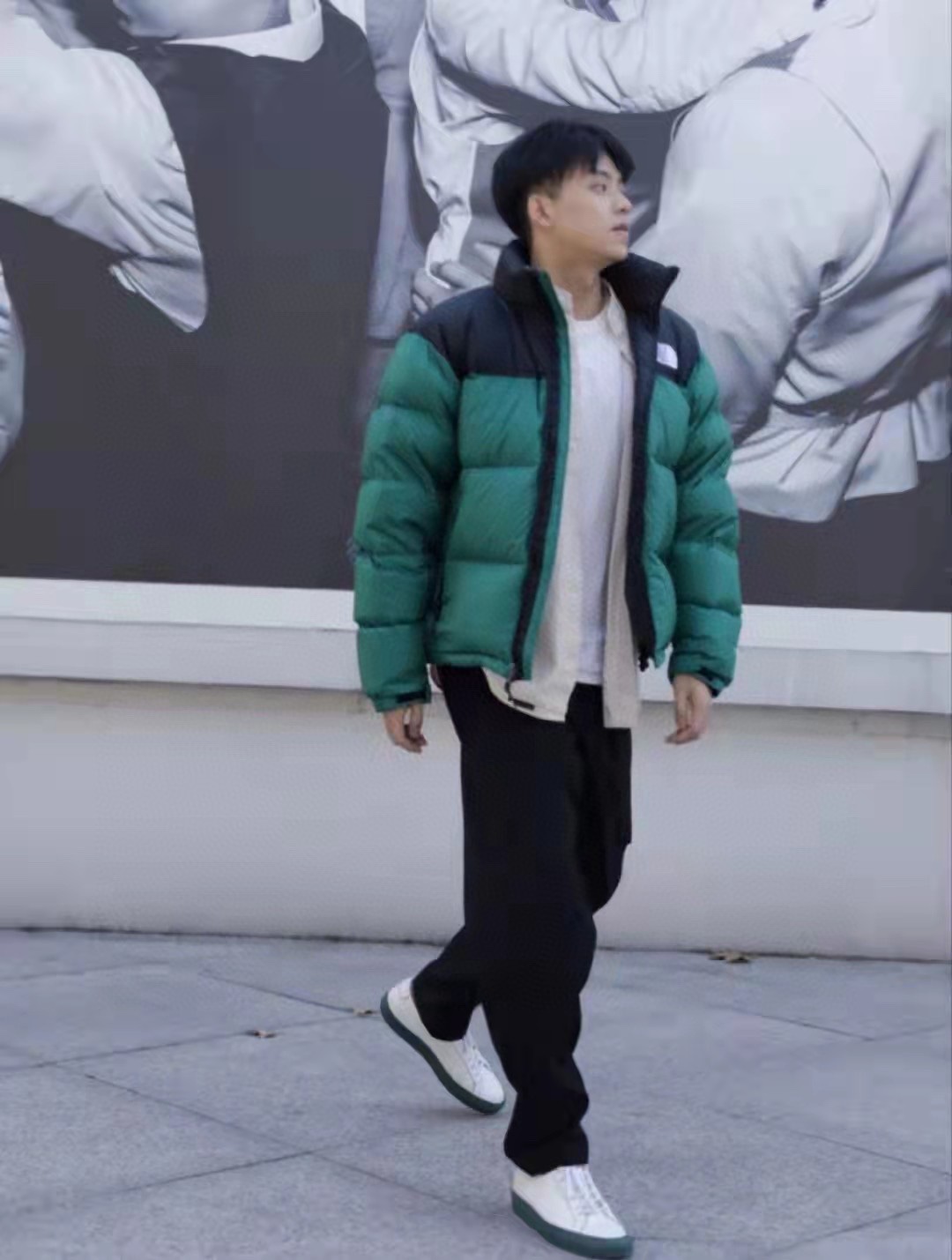 TNF 19fw 1996 Classic Down Jacket