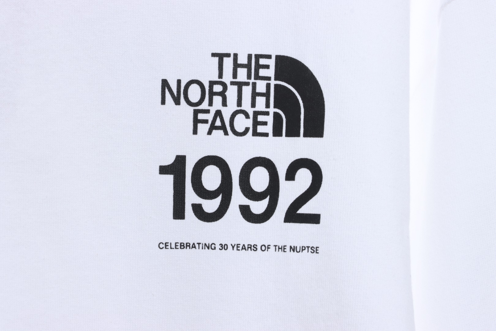 The North Face 30th Anniversary Scenery Print Long Sleeve T