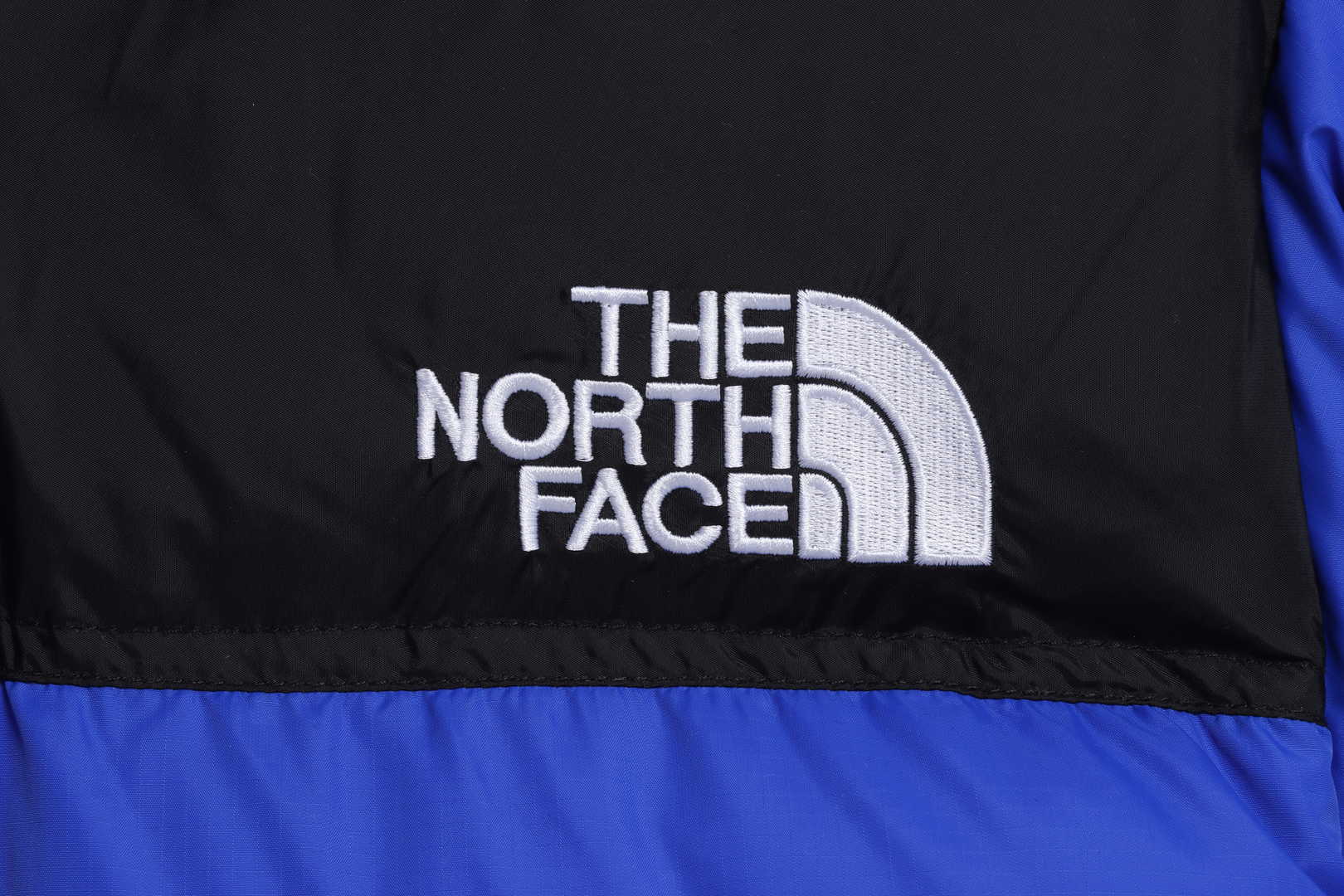 TNF 19fw 1996 Classic Down Jacket