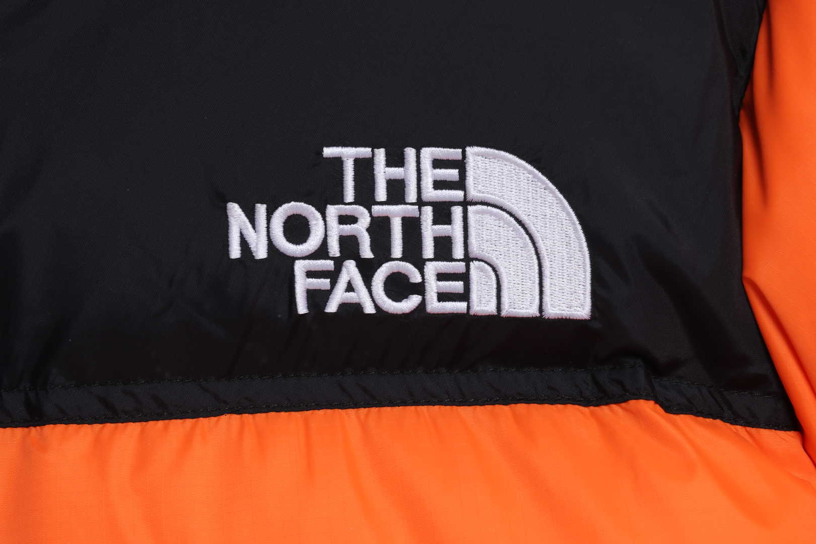 TNF 19fw 1996 Classic Down Jacket