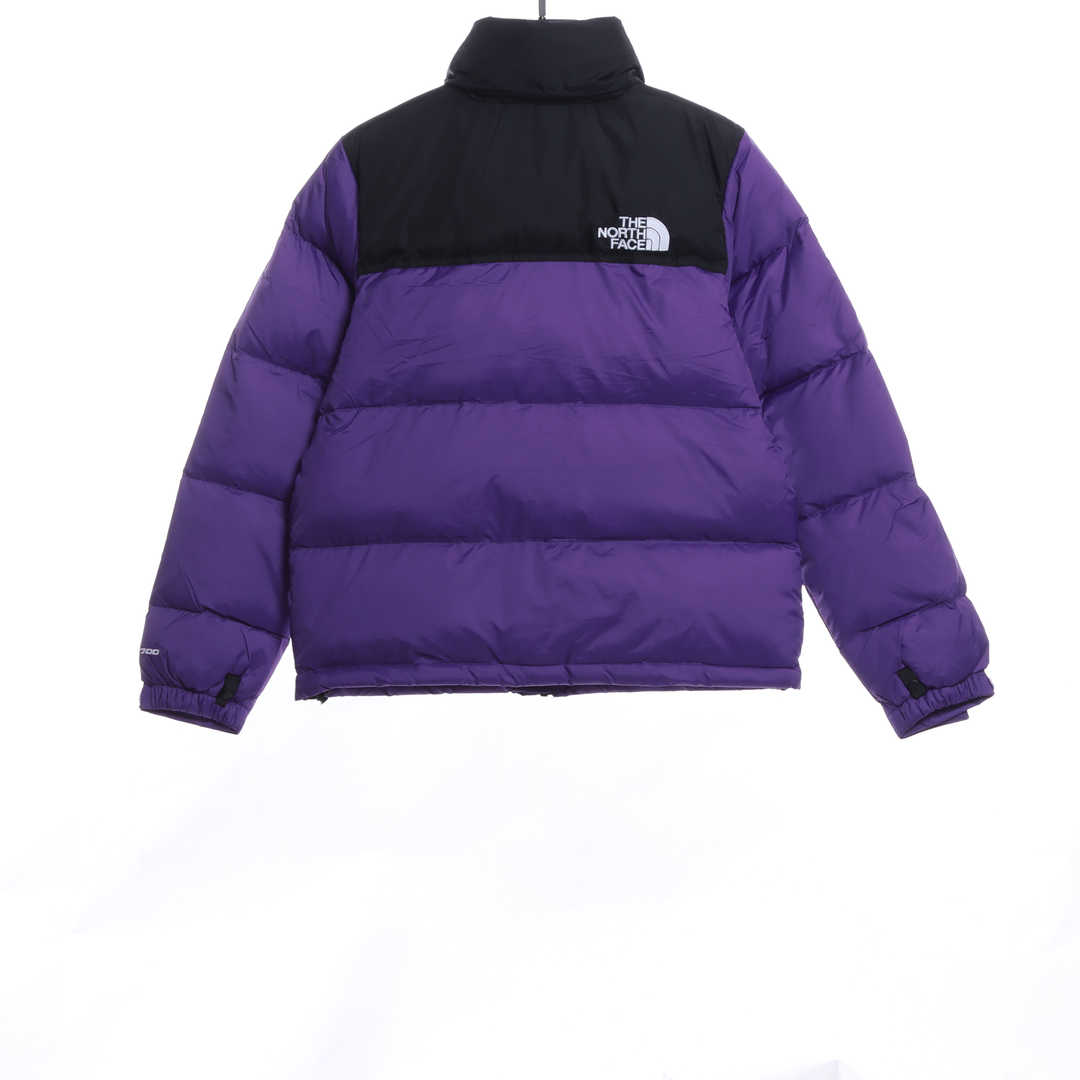 TNF 19fw 1996 Classic Down Jacket