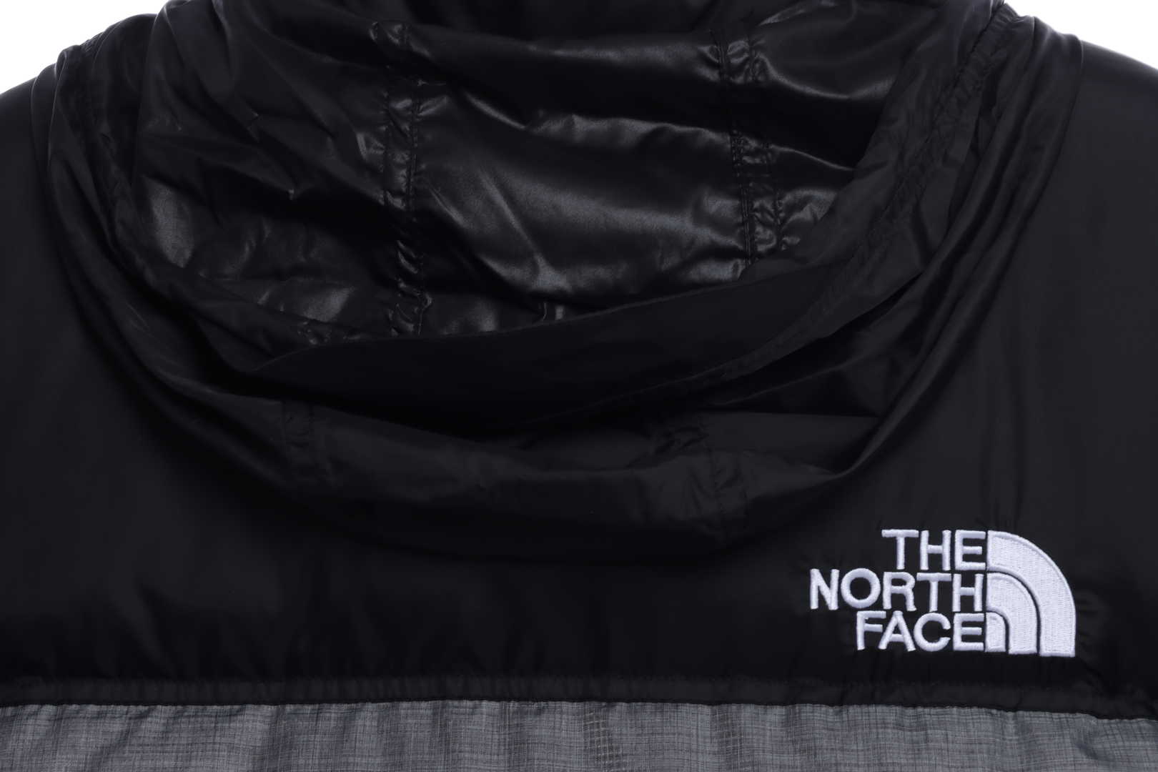 TNF 19fw 1996 Classic Down Jacket