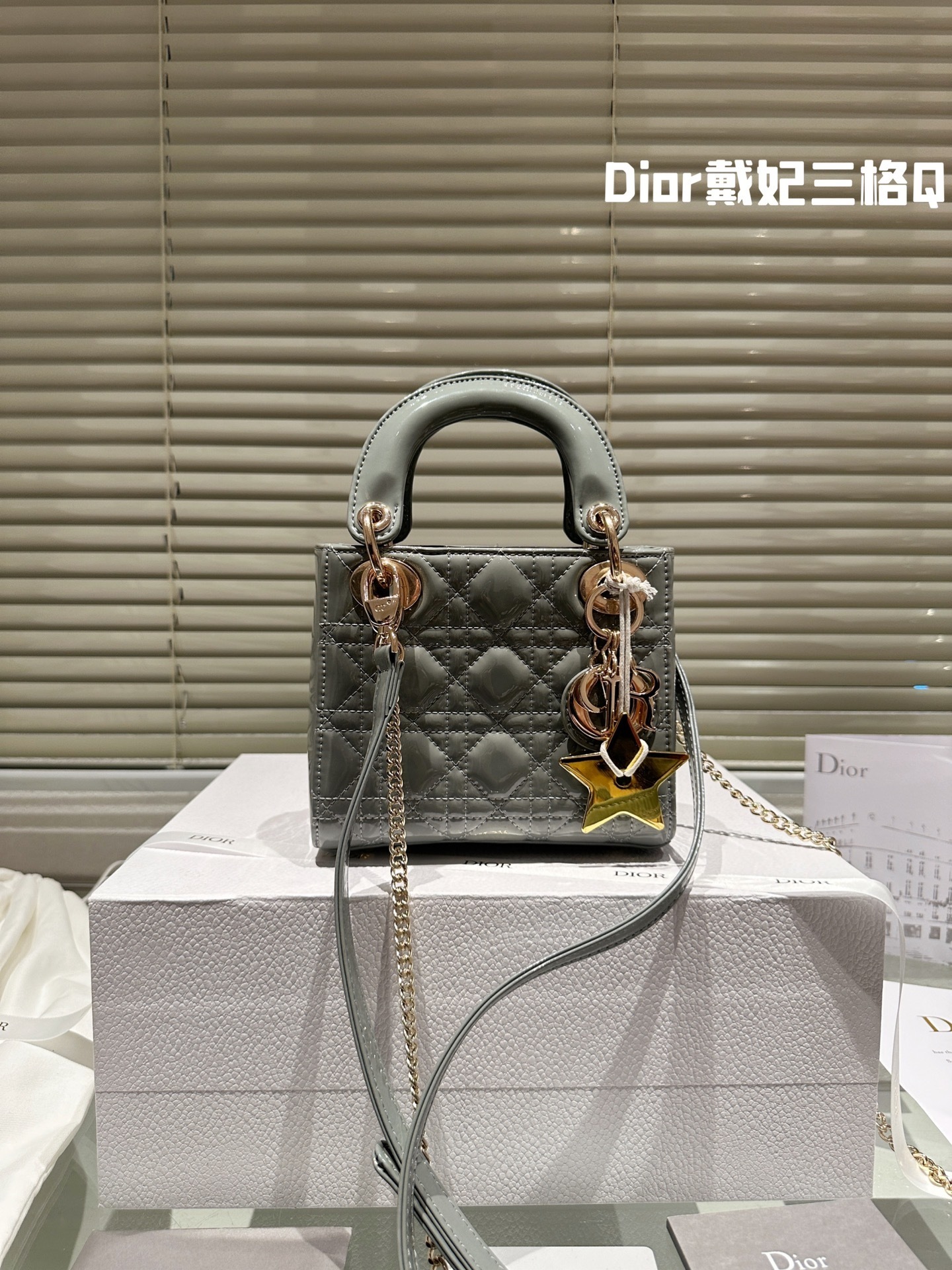 Dior Premium Fashion Saddle Bag, Diana Lacquer Leather Bag