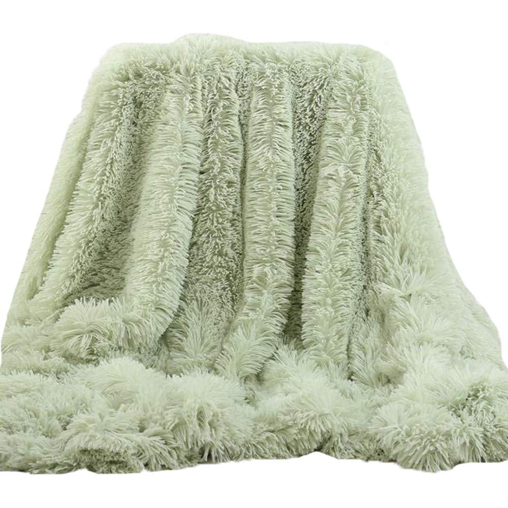 Clisil Mint Faux Fur Mint Throw Blanket, Super Soft Shaggy Longfur Throw Blanket, 63x79 inch