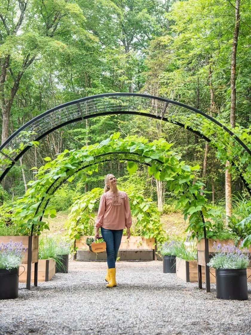 Self-Watering Eco-Stained Elevated 2'x8' Planter Box with Arch Trellis