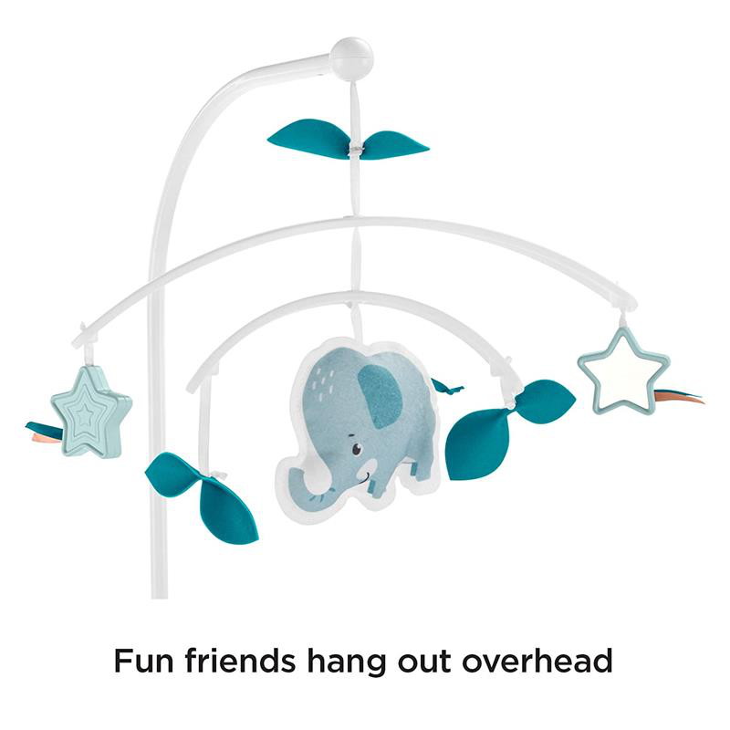 FisherPrice Soothing Motions Pacific Pebble