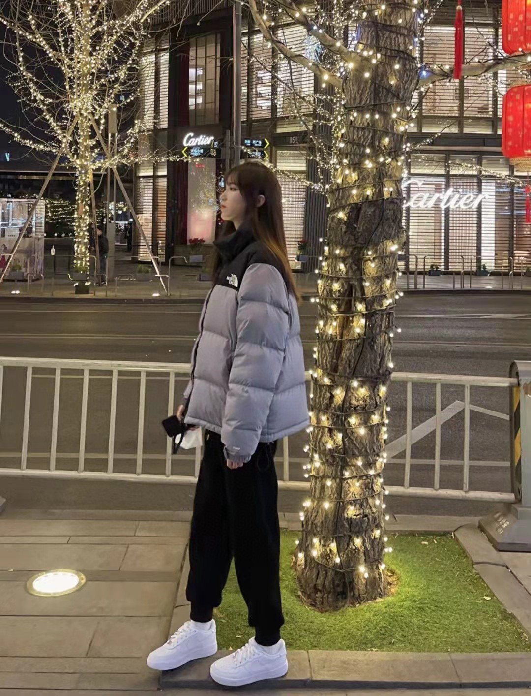 TNF 19fw 1996 Classic Down Jacket