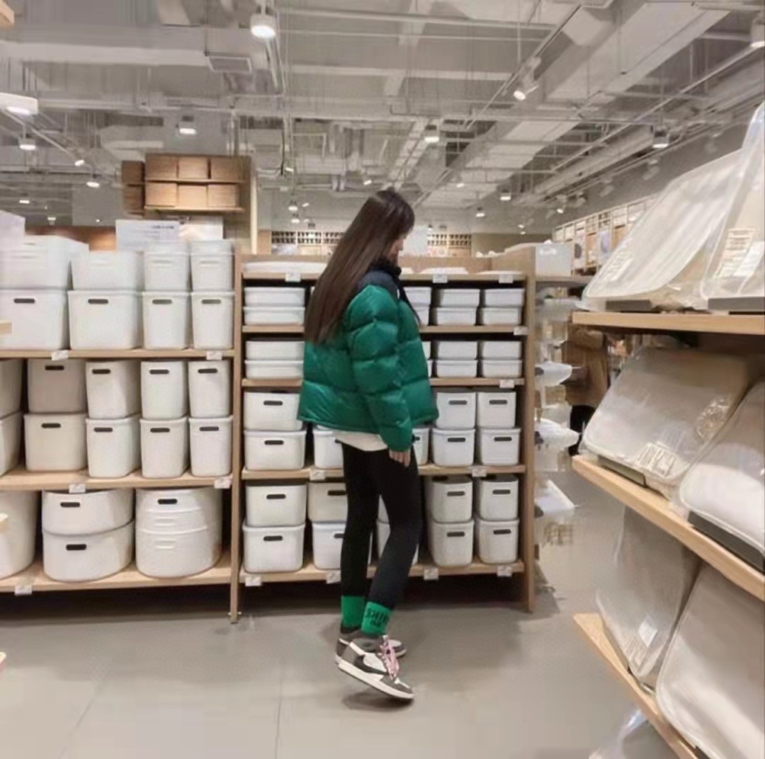 TNF 19fw 1996 Classic Down Jacket