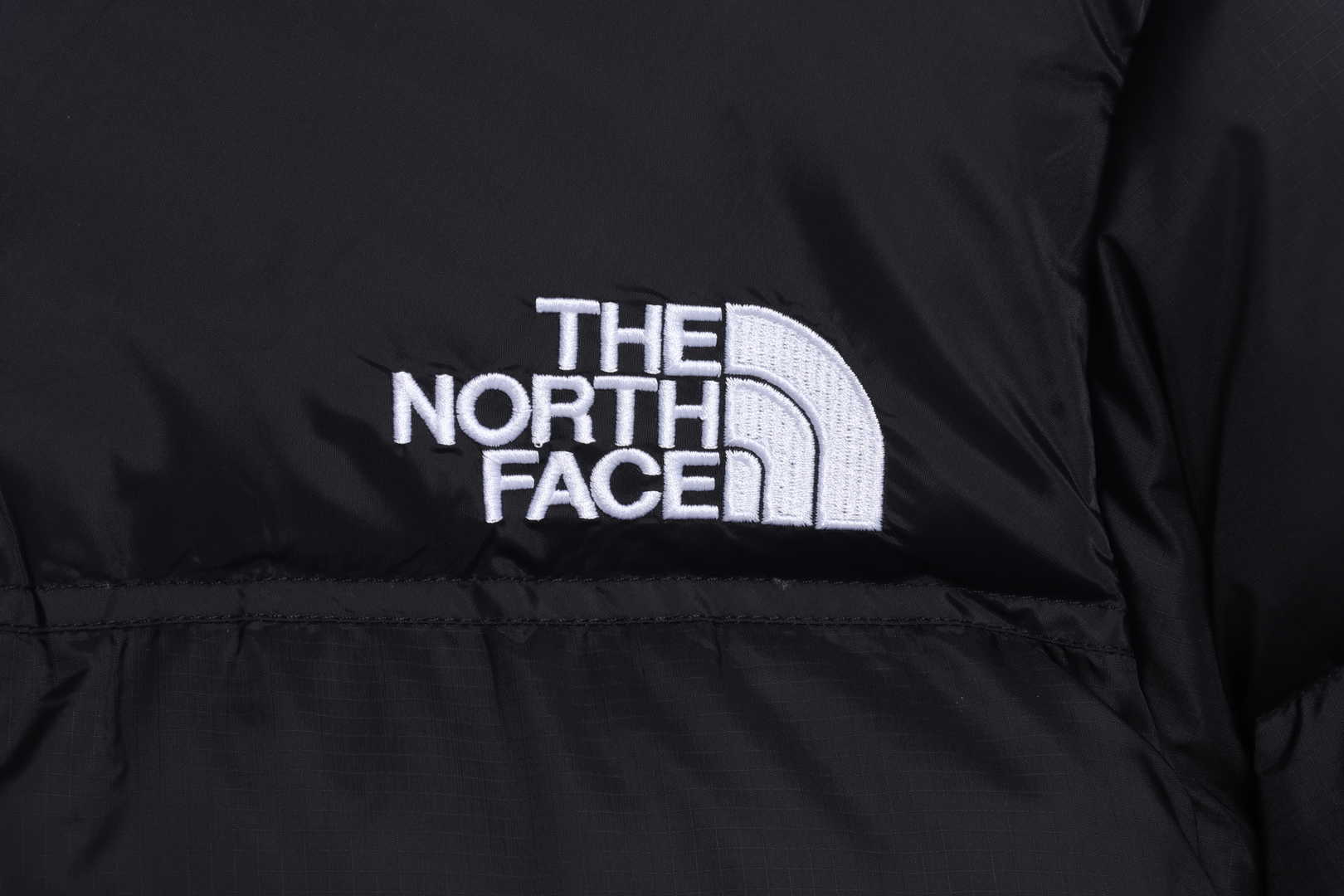 TNF 19fw 1996 Classic Down Jacket