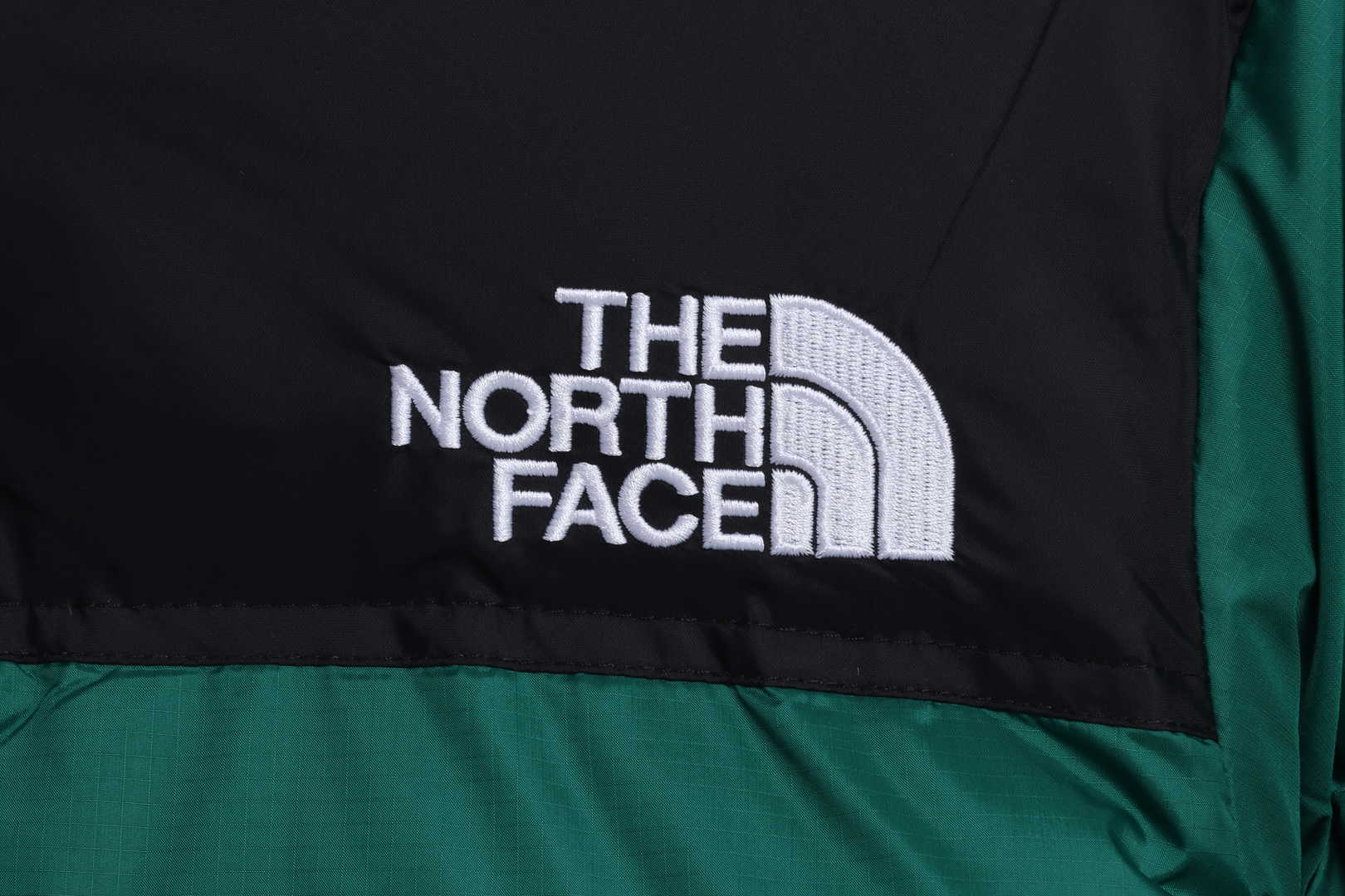 TNF 19fw 1996 Classic Down Jacket