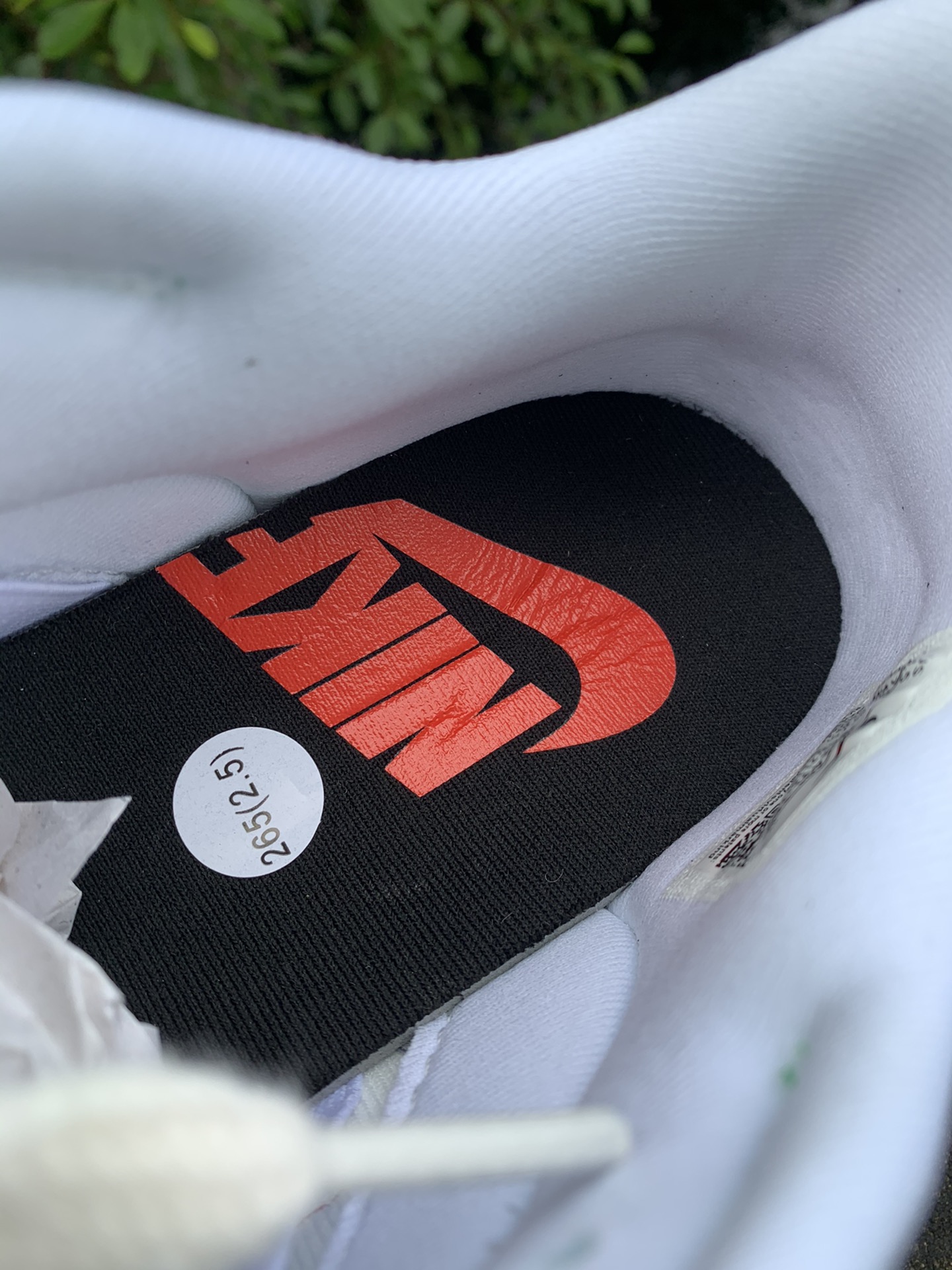 Nike Dunk Low Disrupt 2 Just Do It Snakeskin Green (Women's)