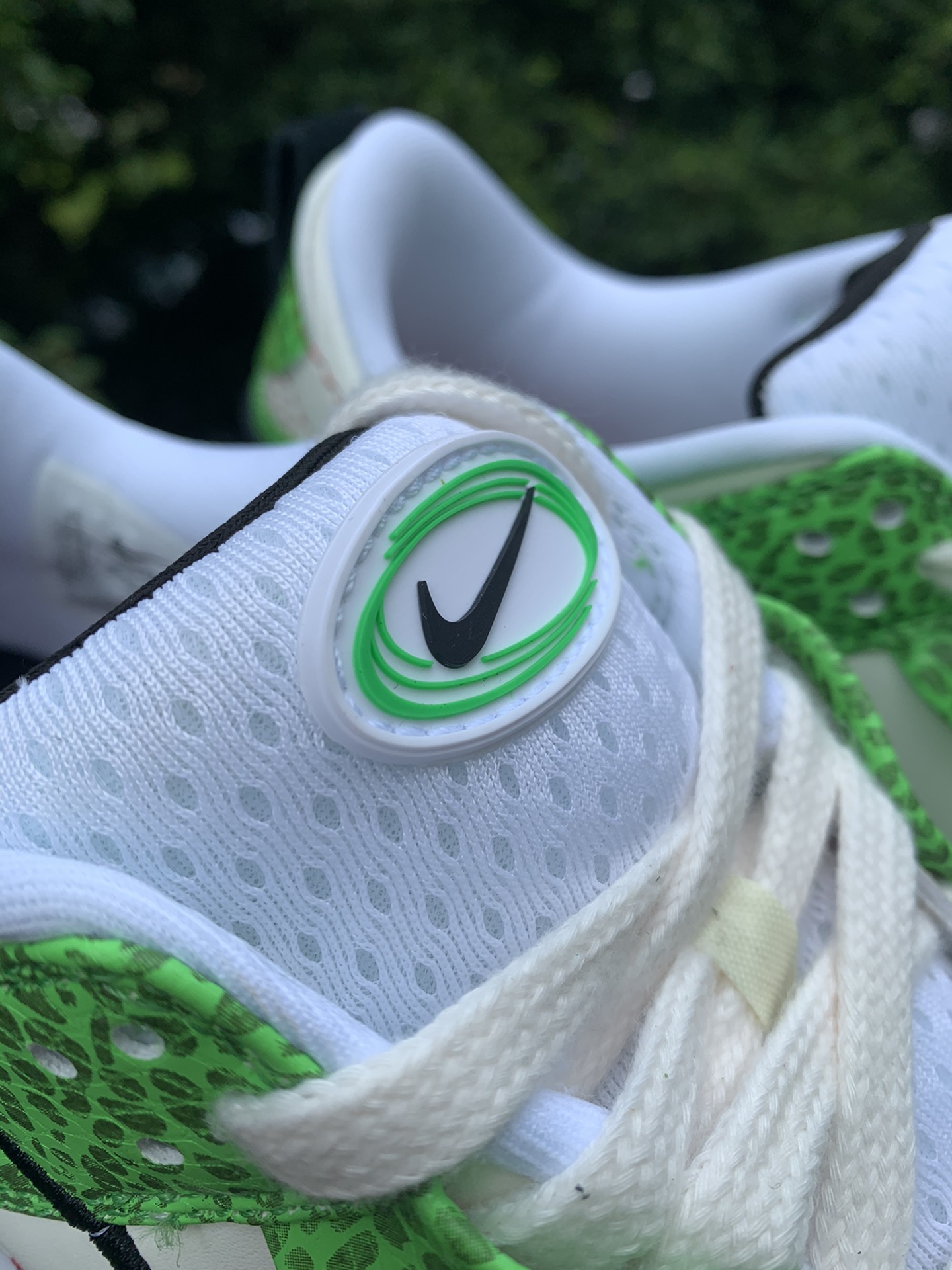 Nike Dunk Low Disrupt 2 Just Do It Snakeskin Green (Women's)