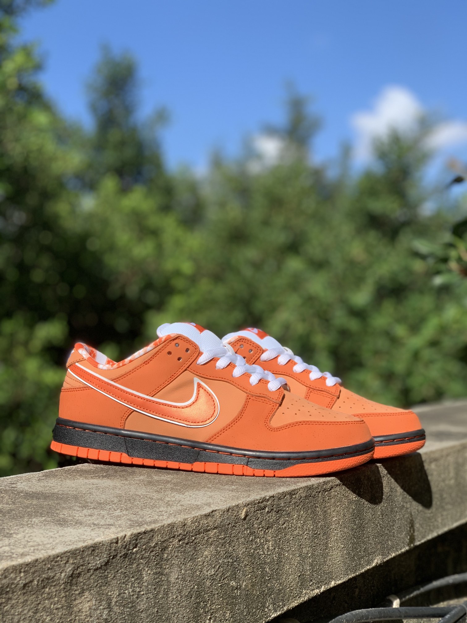 Nike SB Dunk Low Concepts Orange Lobster