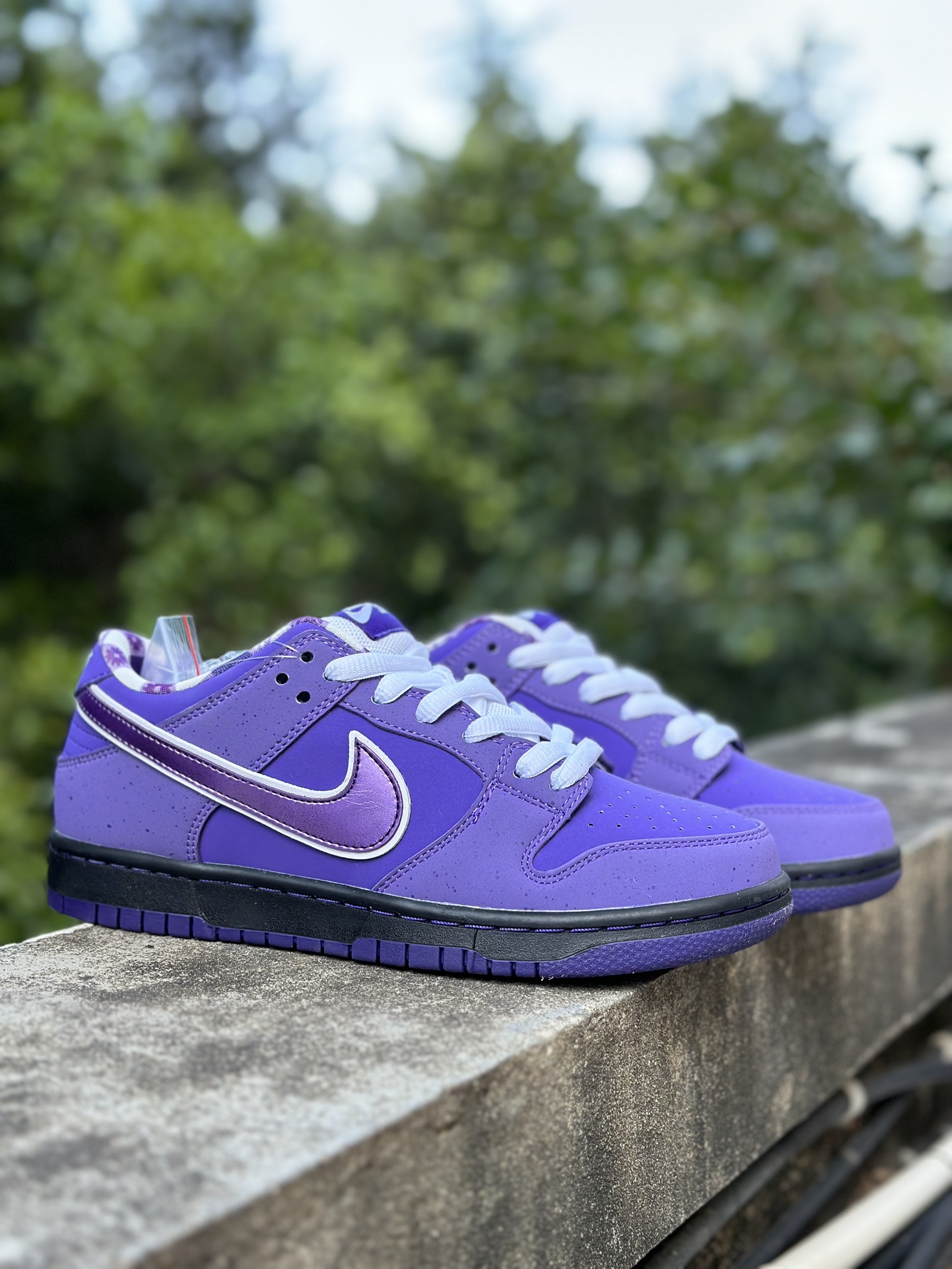 Nike SB Dunk Low Concepts Purple Lobster