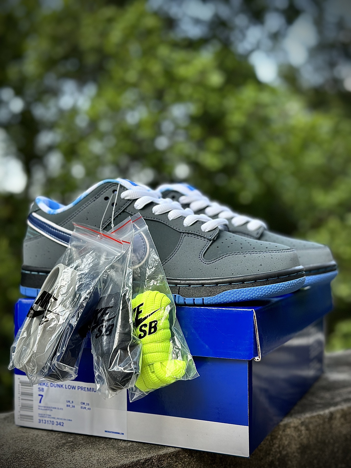 Nike SB Dunk Low Concepts Blue Lobster