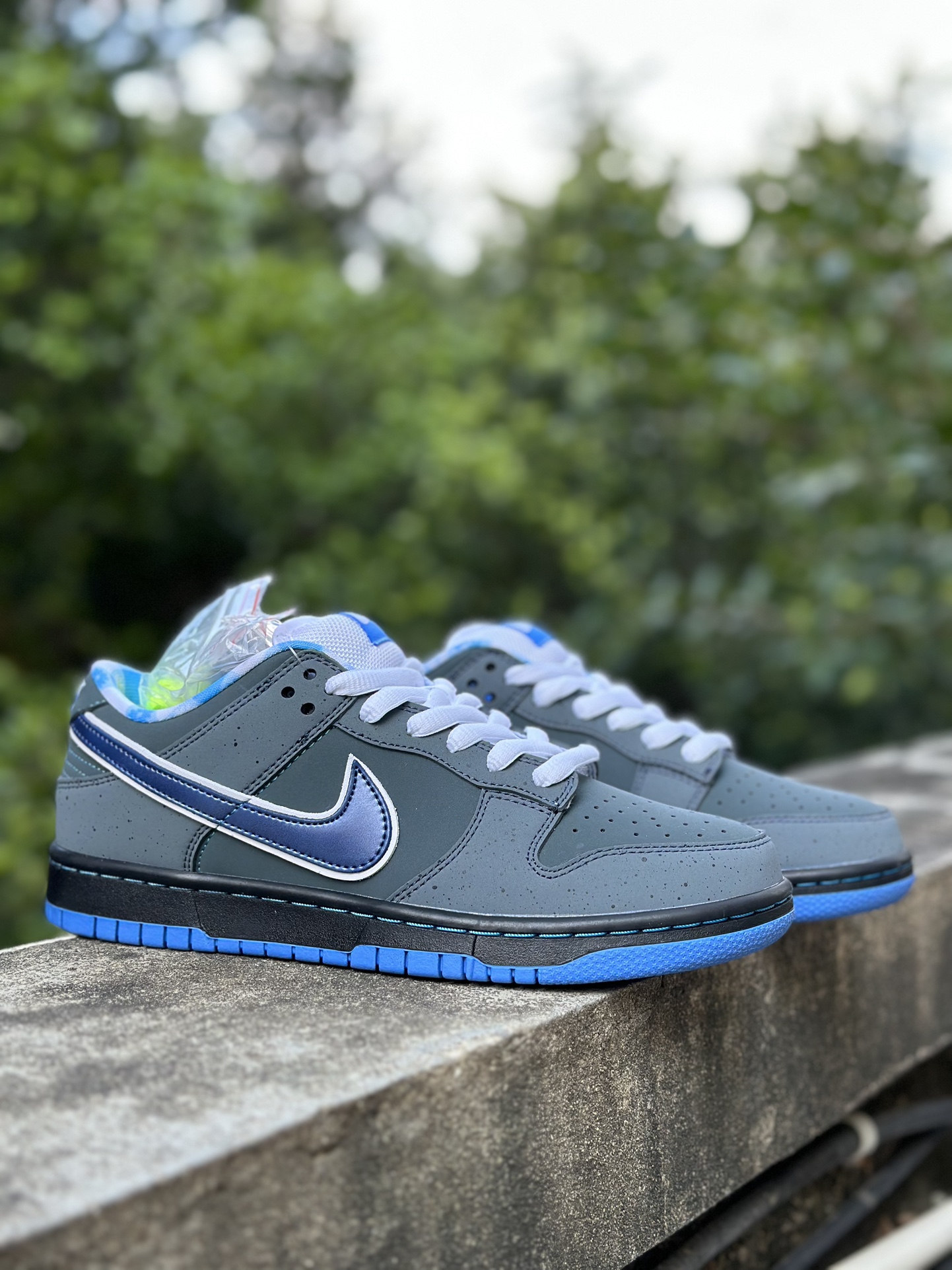 Nike SB Dunk Low Concepts Blue Lobster