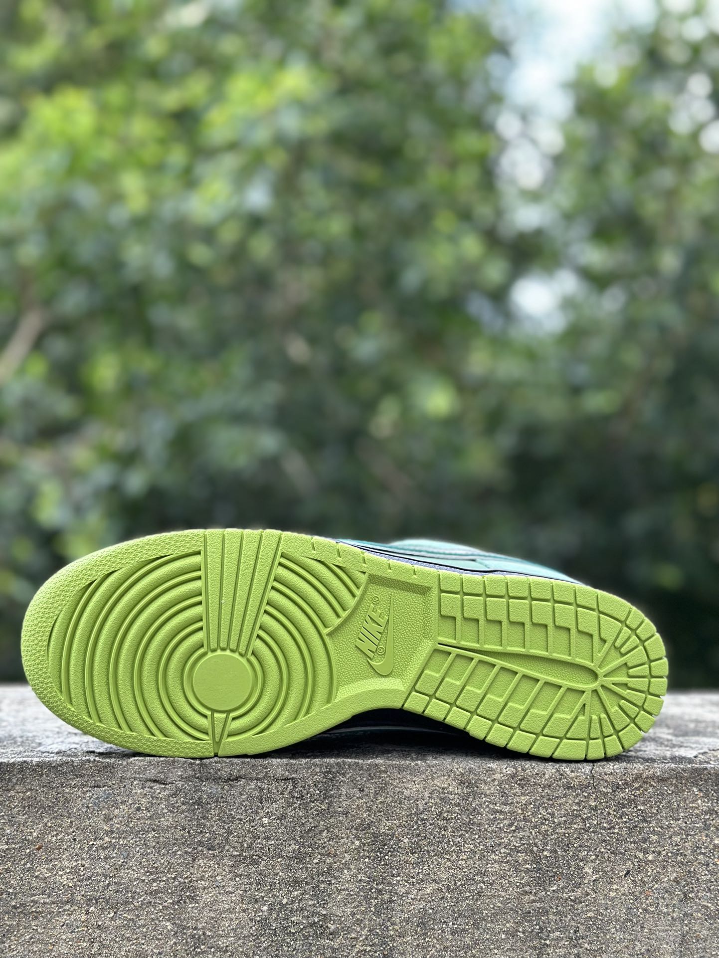 Nike SB Dunk Low Concepts Green Lobster