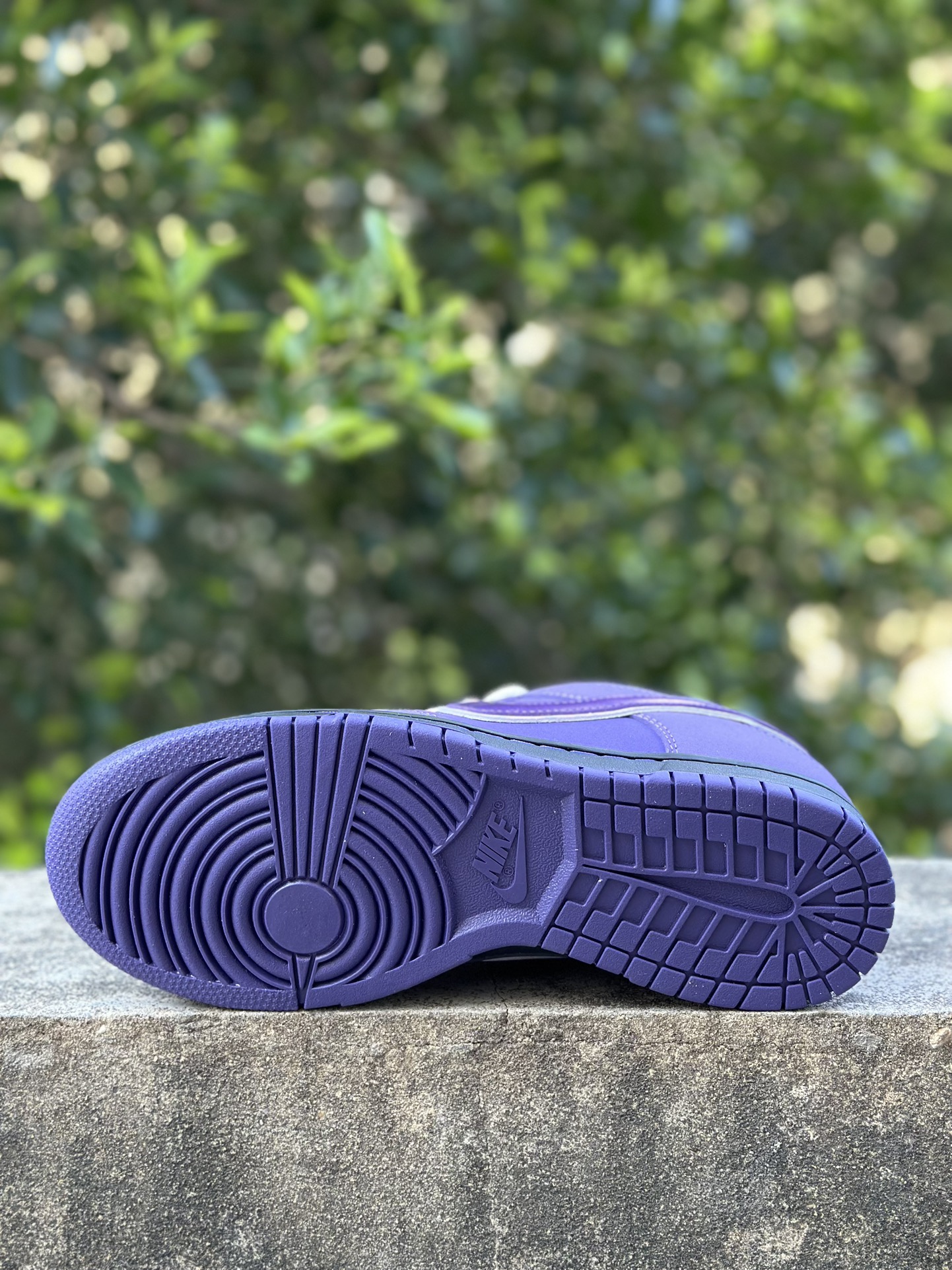 Nike SB Dunk Low Concepts Purple Lobster