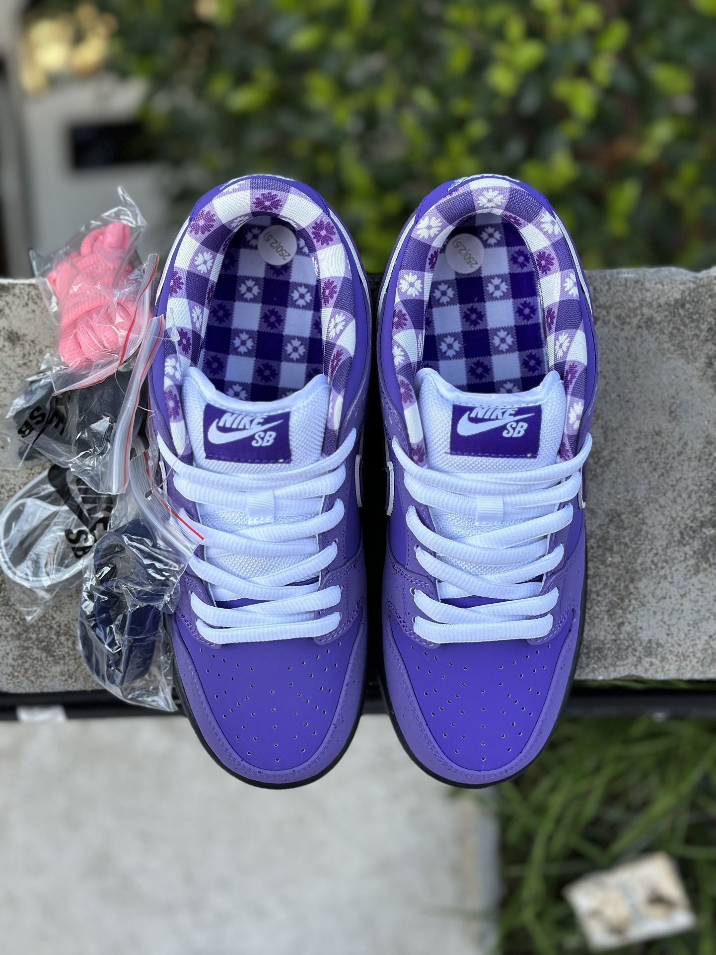 Nike SB Dunk Low Concepts Purple Lobster