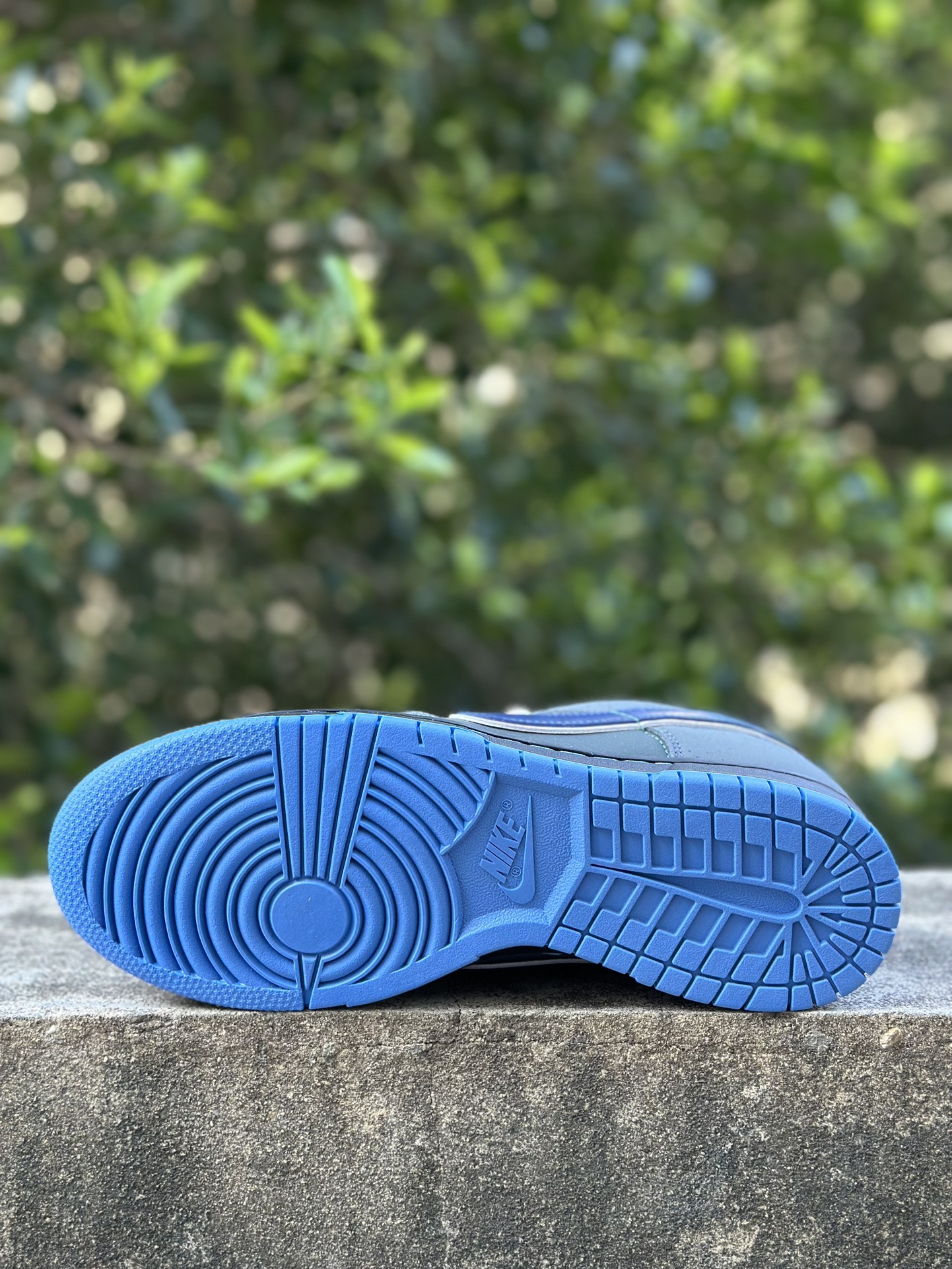 Nike SB Dunk Low Concepts Blue Lobster