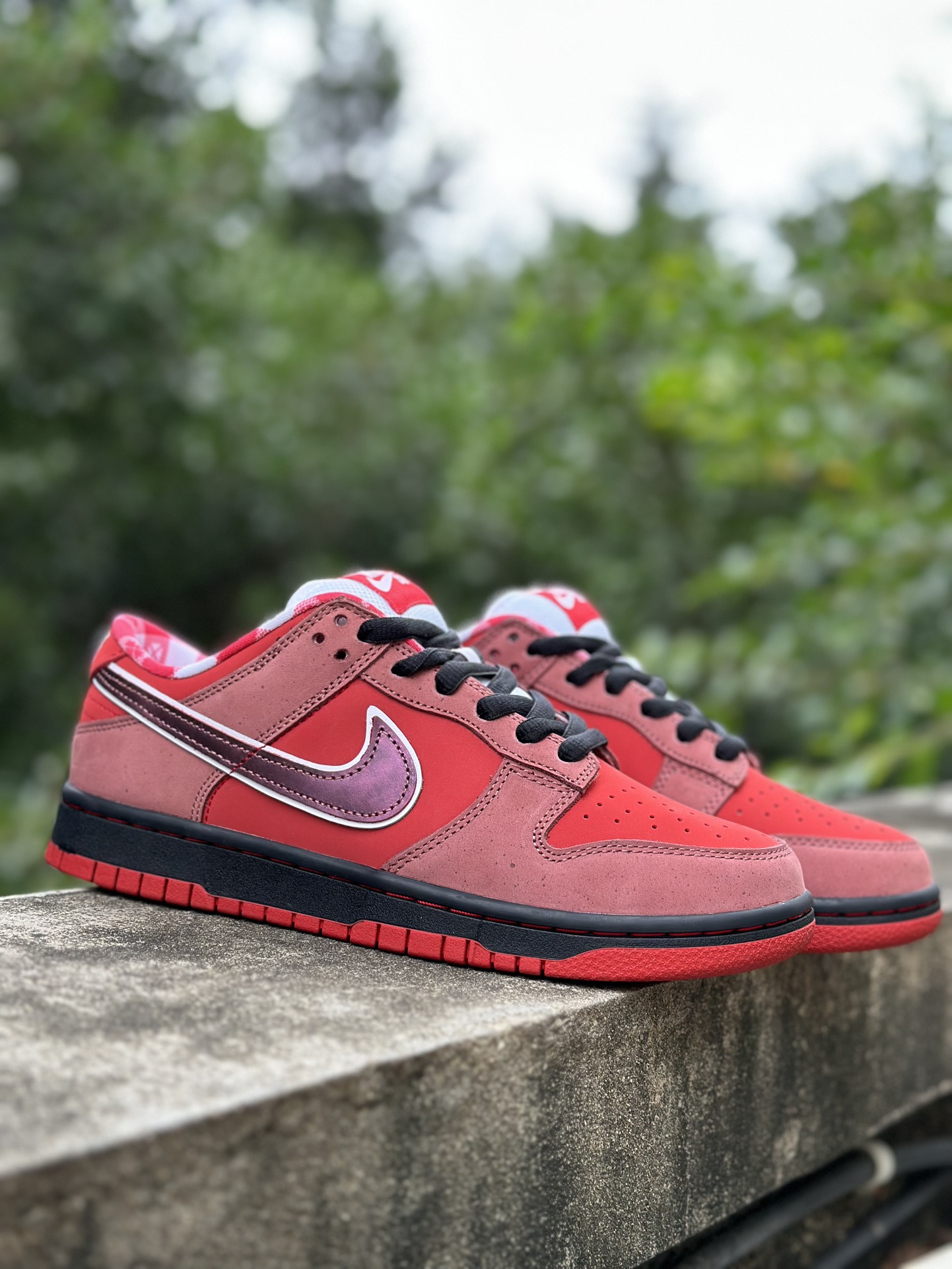 Nike SB Dunk Low Concepts Red Lobster